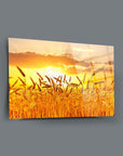Sunset over golden wheat fields on a glass panel, showcasing vibrant colors and high-quality UV print.