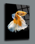 Beta fish art glass panel with vibrant colors and elegant fins, designed by SRD Concept for a stunning display.