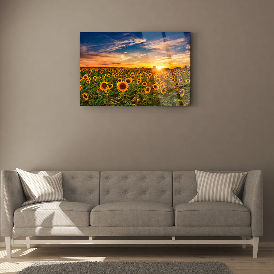 Günbatımı ayçiçekleri temalı cam tablo, modern oturma odası dekorasyonu için şık bir parça.