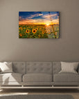 Günbatımı ayçiçekleri temalı cam tablo, modern oturma odası dekorasyonu için şık bir parça.