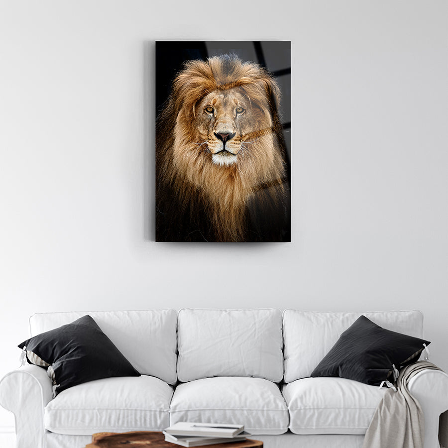 Asil Aslan Cam Tablo featuring a majestic lion portrait on a modern living room wall decor.