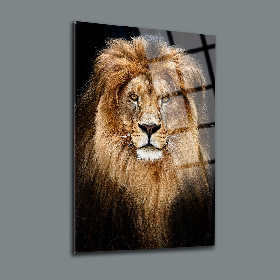 Stunning lion portrait on a glass panel, showcasing detailed fur and fierce expression, ideal for home decor.