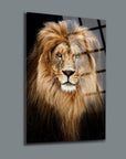 Stunning lion portrait on a glass panel, showcasing detailed fur and fierce expression, ideal for home decor.