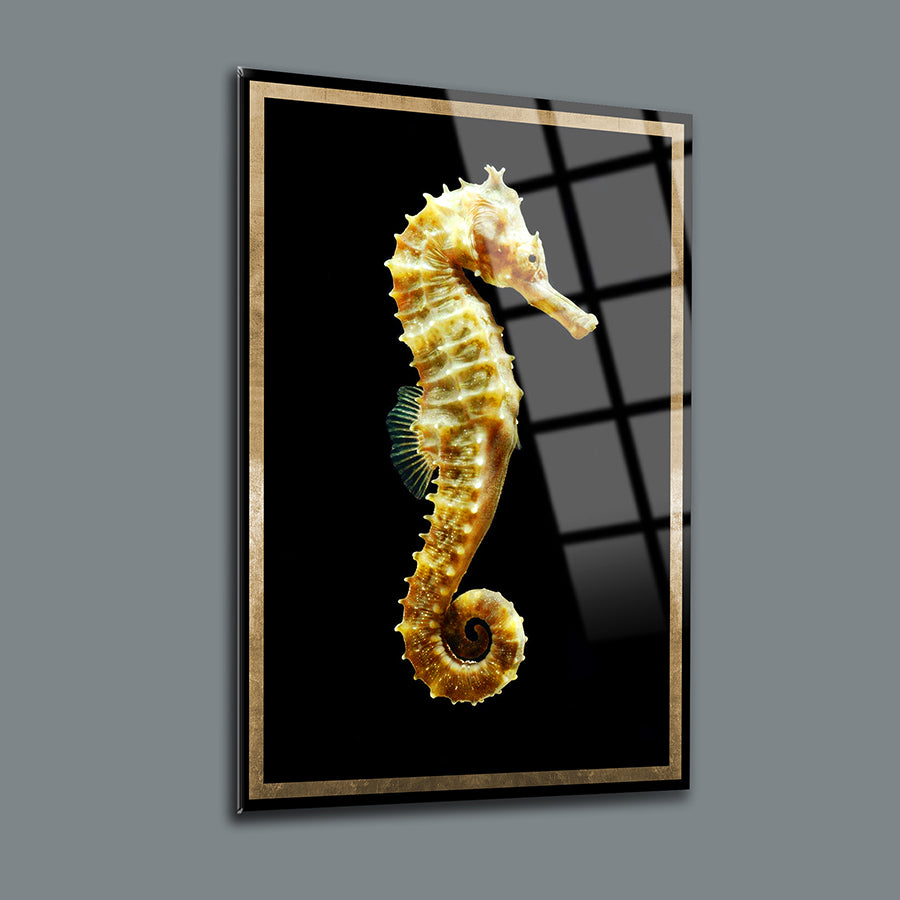 Deniz atı cam tablo, 4 mm temperli cam, ısıya dayanıklı, şık dekorasyon, SRD Concept tasarımı.