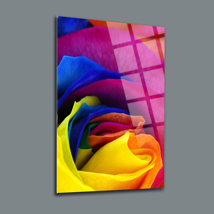 Vibrant multi-colored rose petals displayed on a high-quality glass canvas with a modern design.