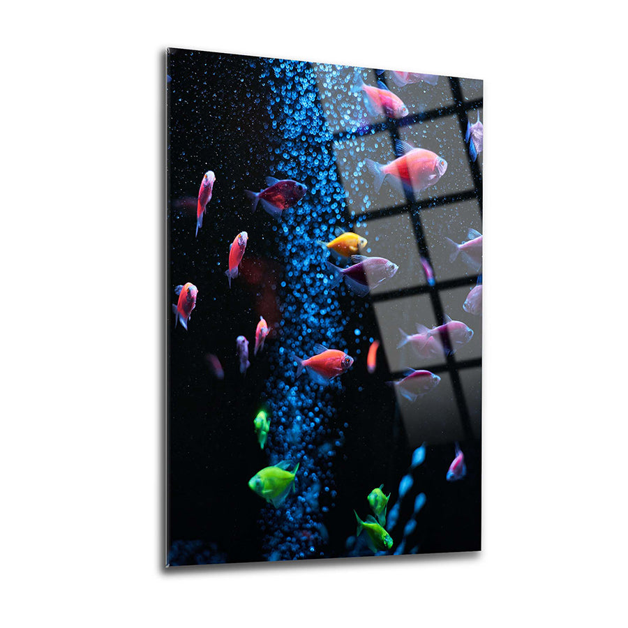 Vibrant aquarium fish floating in bubbles on a sleek 4mm glass art piece, showcasing high-quality UV print.