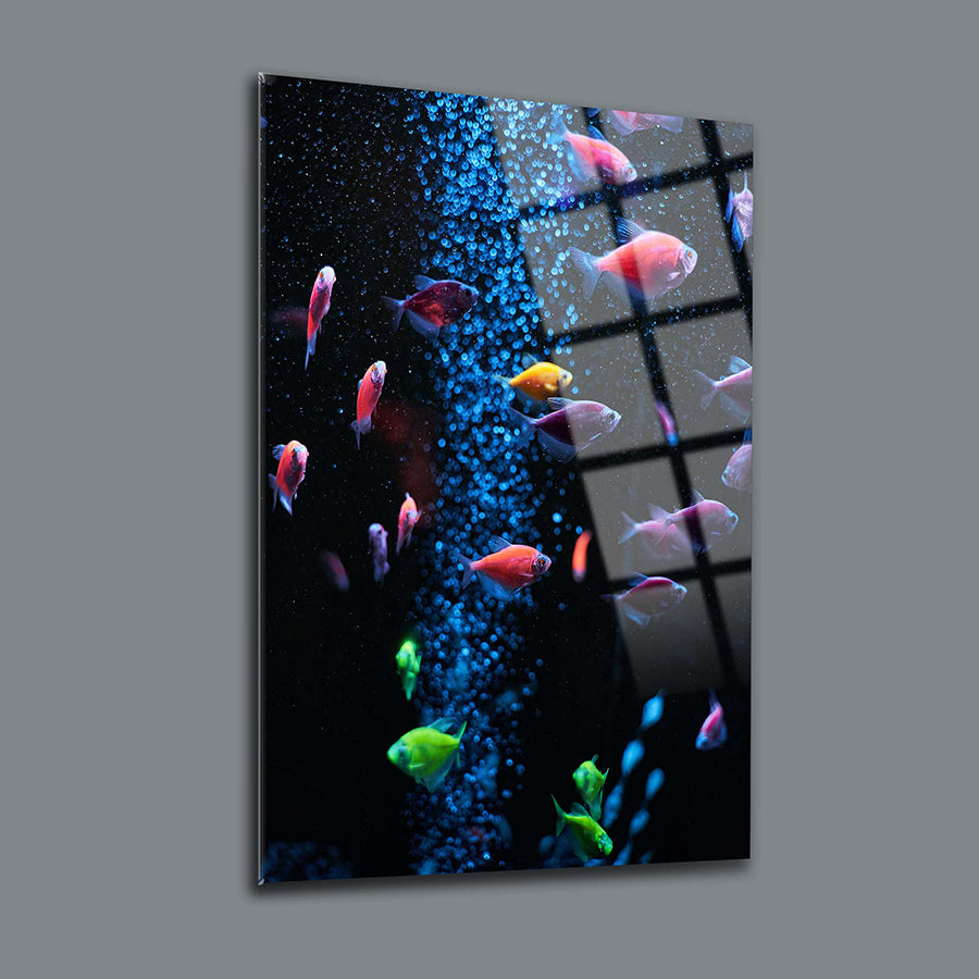 Colorful aquarium fish swimming in a vibrant underwater scene, showcased on high-quality glass art.