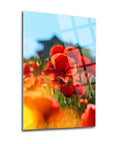 Vivid Gelincik Çiçeği Cam Tablo featuring red poppy flowers in bright sunlight, perfect for home décor.