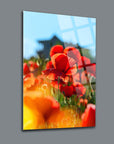 Vibrant Gelincik Çiçeği Cam Tablo with red poppy flowers on a sunny day, ideal for home decor.