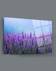Lavender field art print on high-quality glass, showcasing vibrant purple flowers and a serene blue sky.