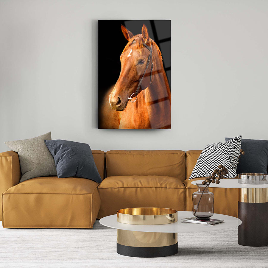 Türkmen Atı Cam Tablo: şık iç mekan dekorasyonu için at tasarımı, kaliteli temper camda UV baskı.