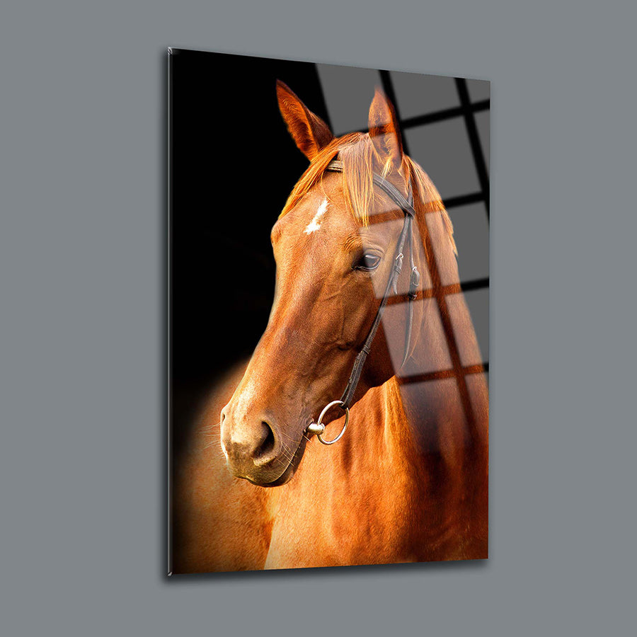 Türkmen Atı Cam Tablo - zarif kamış renkli at resmi, şık dekoratif cam tabla.