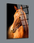 Türkmen Atı Cam Tablo - zarif kamış renkli at resmi, şık dekoratif cam tabla.