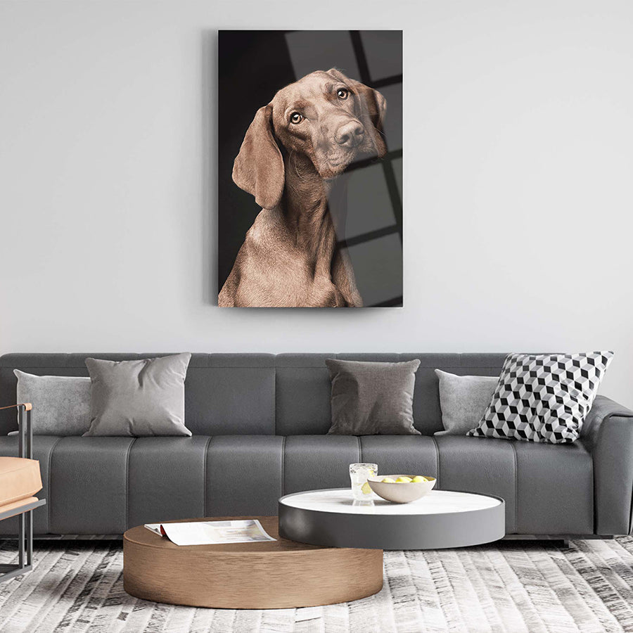 Elegant Mahzun Köpek Cam Tablo displayed above a stylish sofa, showcasing high-quality UV printing on tempered glass.