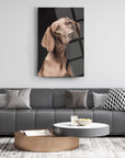 Elegant Mahzun Köpek Cam Tablo displayed above a stylish sofa, showcasing high-quality UV printing on tempered glass.
