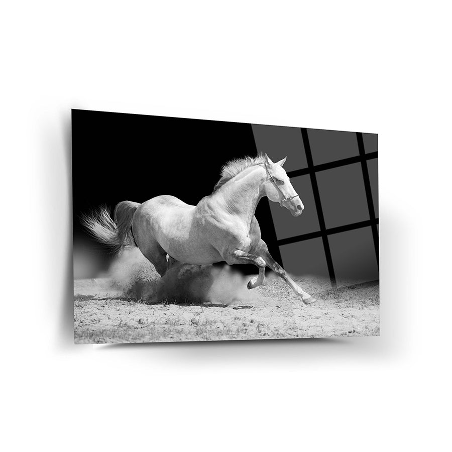 Sultan Atı Cam Tablo: Şık beyaz atın dinamik bir pozda öne çıktığı modern cam tablo.