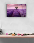 Lavanda bahçesi cam tablo, modern dekorasyon için şık ve dayanıklı bir tasarım.