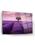 Lavanda Bahçesi Cam Tablo, mor lavanta tarlası ve ağaç görselli dekoratif tasarım.