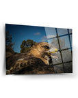 Stunning hawk image on tempered glass, showcasing vibrant colors and high-quality UV printing.