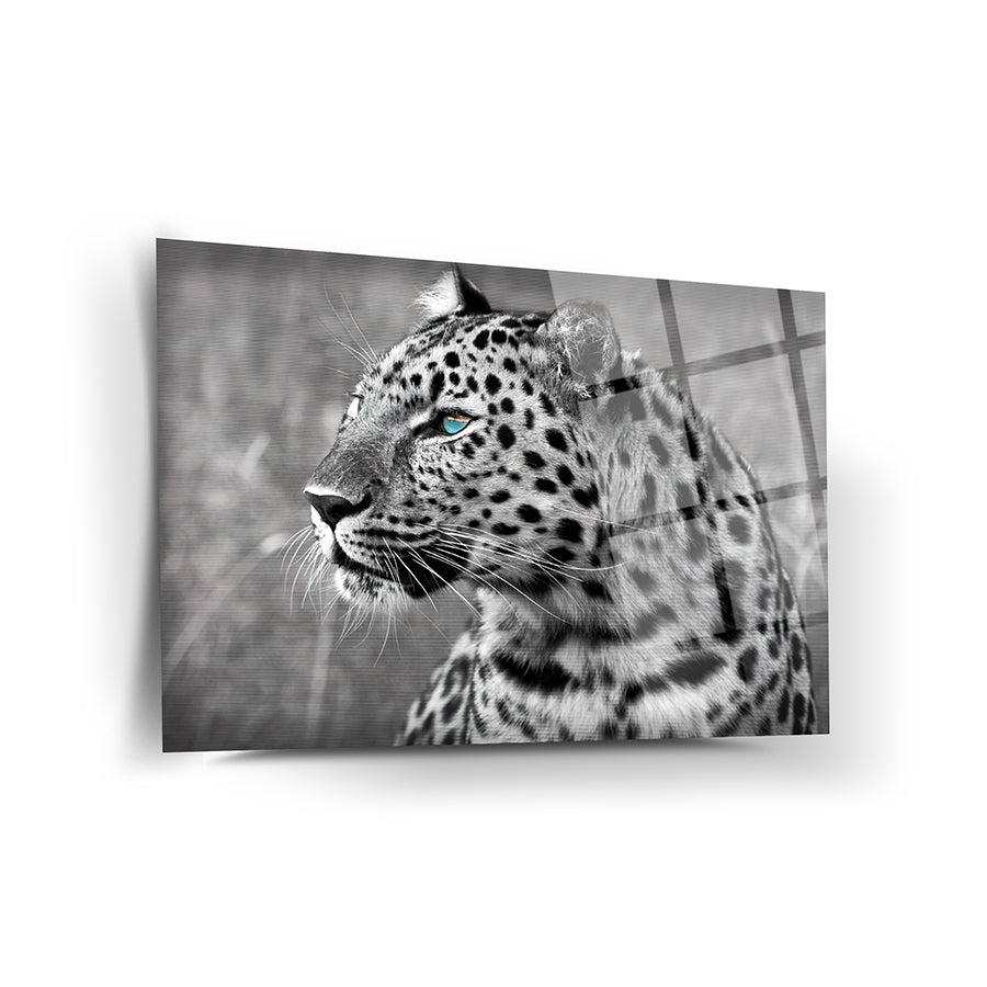 Black and white portrait of a leopard with striking blue eyes against a blurred background.