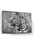 Black and white portrait of a leopard with striking blue eyes against a blurred background.