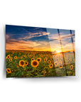 Günbatımı Ayçiçekleri Cam Tablo: sıcak renkler ve doğal güzellikler ile tasarlanmış şık dekoratif parça.