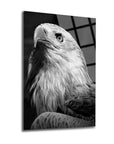 Black and white art of a majestic eagle on glass, showcasing detailed feathers and striking expression.