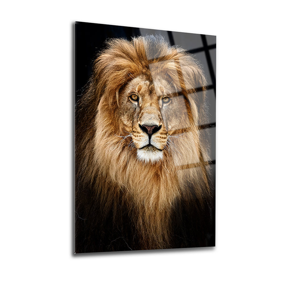 Stunning lion portrait on glass, showcasing rich details and vibrant colors, perfect for home or office decor.