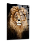 Stunning lion portrait on glass, showcasing rich details and vibrant colors, perfect for home or office decor.