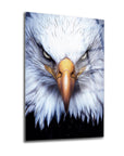 Stunning close-up of a fierce eagle head on a high-quality glass panel for modern wall decor.