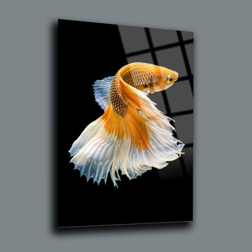 tablo,cam tablo,cam poster,kanvas tablo,duvar dekorasyonu,ev dekorasyonu,srd concept,özel tasarım,beta balığı