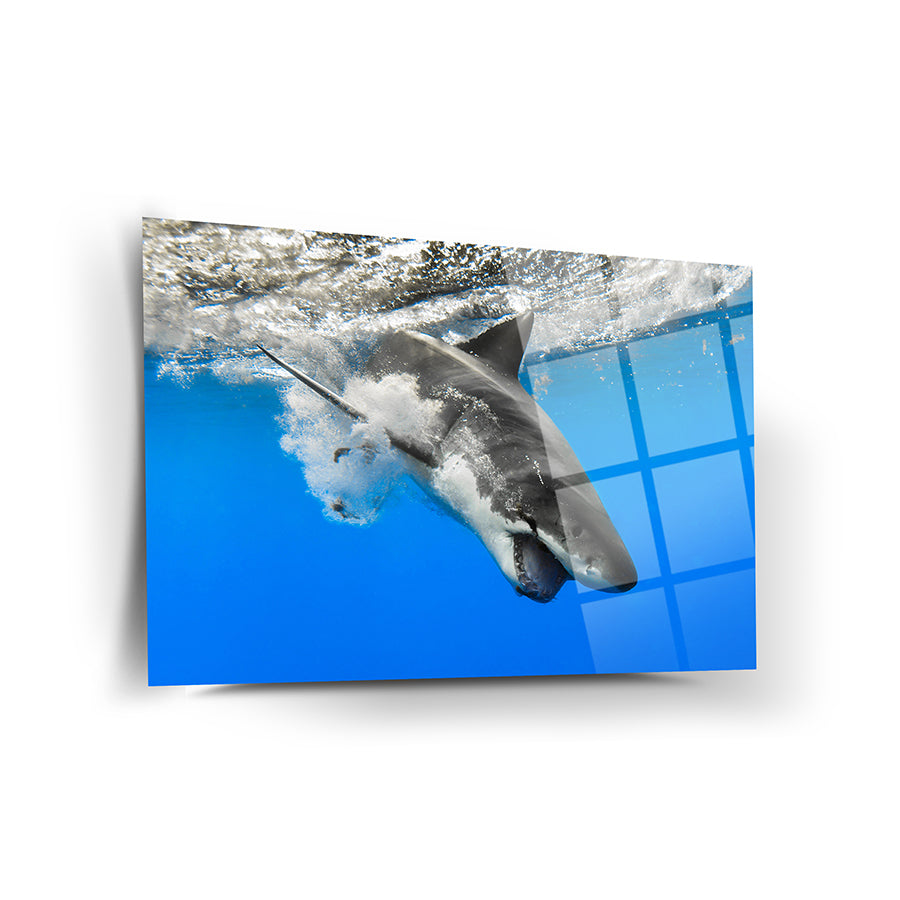Shark Diving Glass Painting