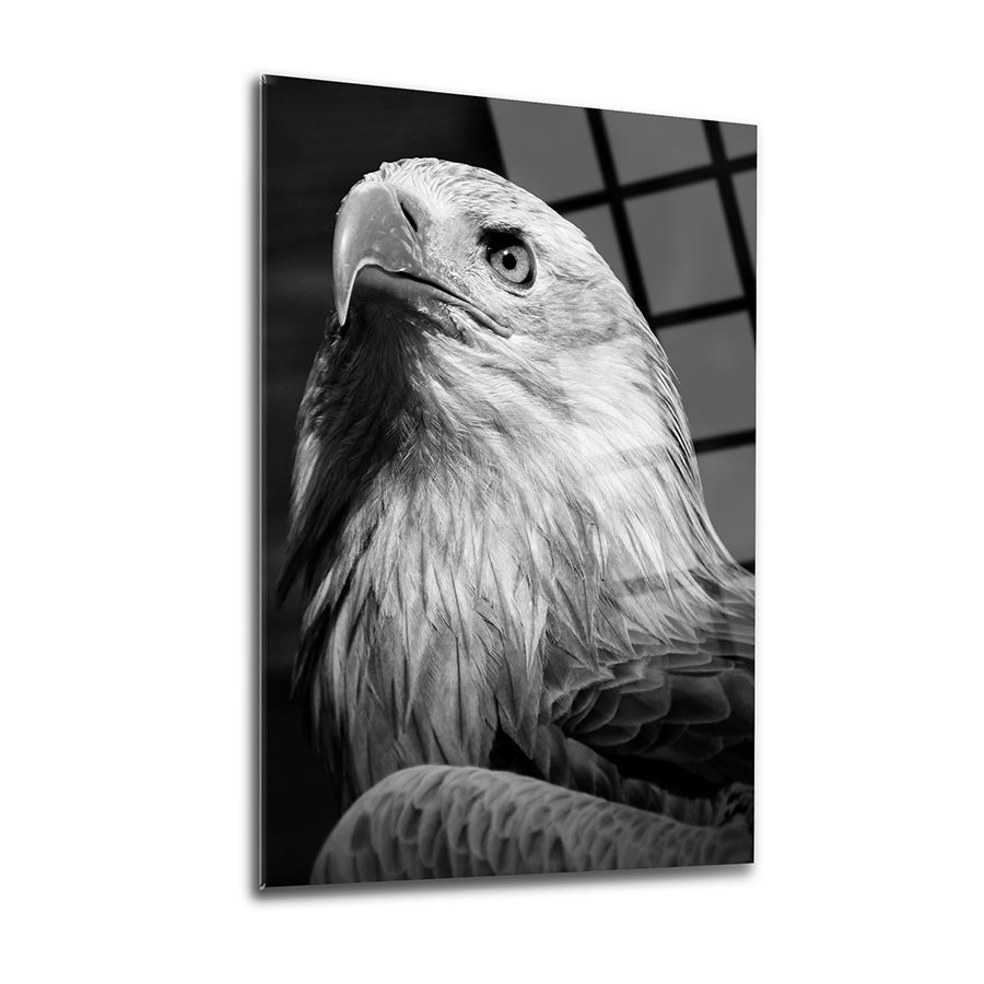 White Eagle Glass Painting
